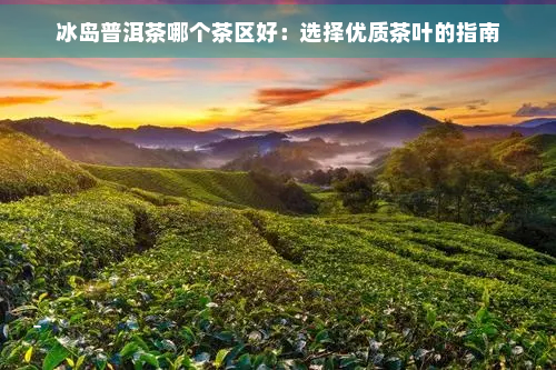 冰岛普洱茶哪个茶区好：选择优质茶叶的指南