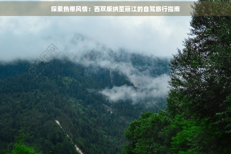 探索热带风情：西双版纳至丽江的自驾旅行指南