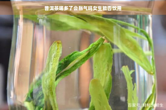 普洱茶喝多了会胀气吗女生能否饮用