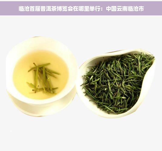 临沧首届普洱茶博览会在哪里举行：中国云南临沧市