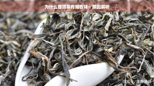 为什么普洱茶有香味：原因解析