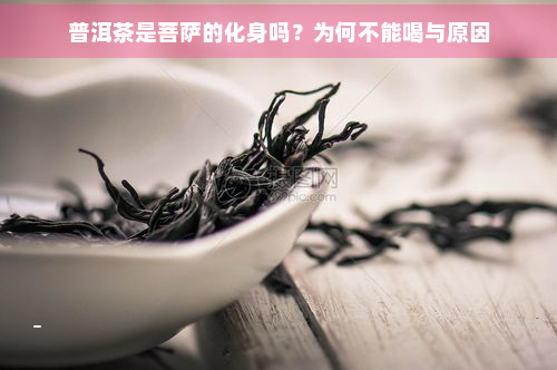 普洱茶是菩萨的化身吗？为何不能喝与原因