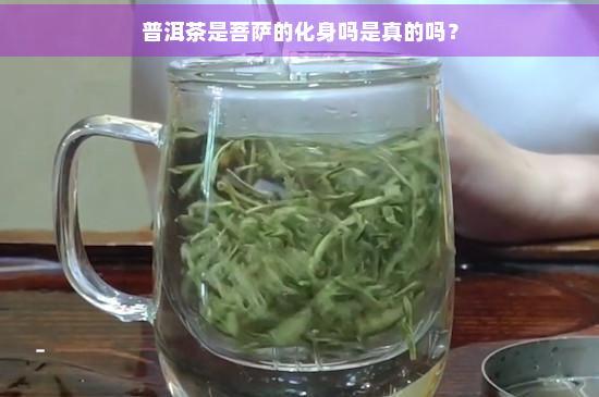 普洱茶是菩萨的化身吗是真的吗？