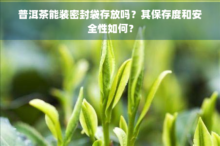 普洱茶能装密封袋存放吗？其保存度和安全性如何？