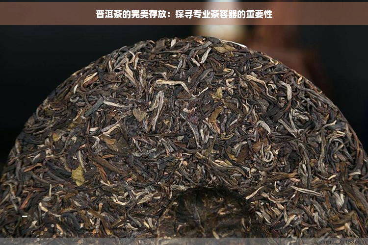 普洱茶的完美存放：探寻专业茶容器的重要性