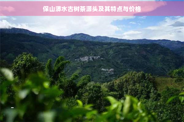 保山漭水古树茶源头及其特点与价格