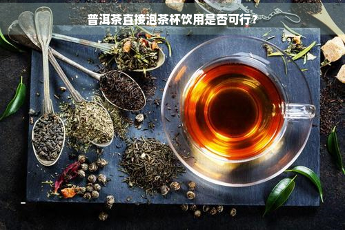 普洱茶直接泡茶杯饮用是否可行？