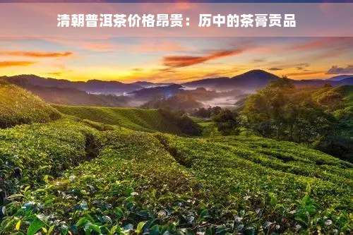 清朝普洱茶价格昂贵：历中的茶膏贡品