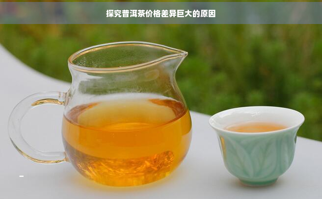 探究普洱茶价格差异巨大的原因