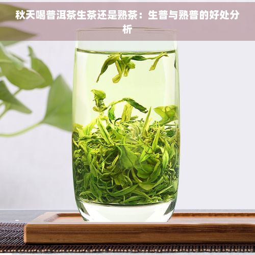 秋天喝普洱茶生茶还是熟茶：生普与熟普的好处分析