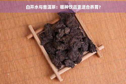 白开水与普洱茶：哪种饮品更适合养胃？