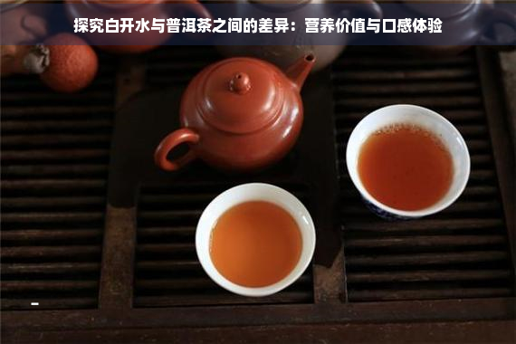 探究白开水与普洱茶之间的差异：营养价值与口感体验