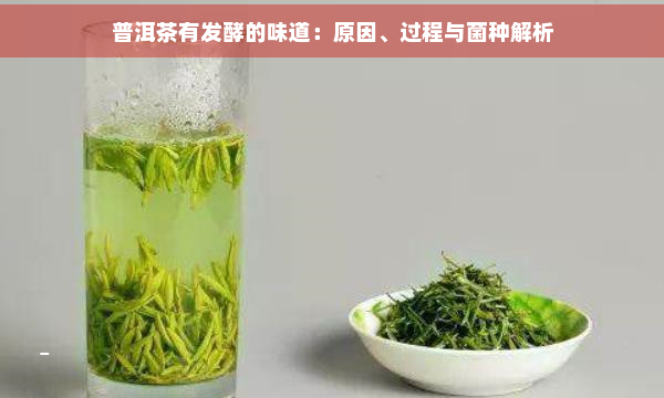 普洱茶有发酵的味道：原因、过程与菌种解析