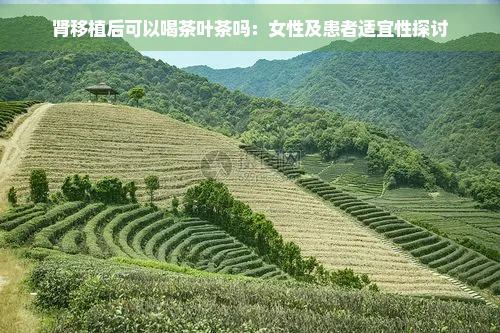 肾移植后可以喝茶叶茶吗：女性及患者适宜性探讨