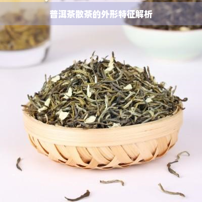 普洱茶散茶的外形特征解析