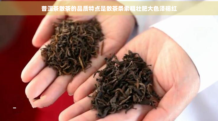 普洱茶散茶的品质特点是散茶条索粗壮肥大色泽褐红