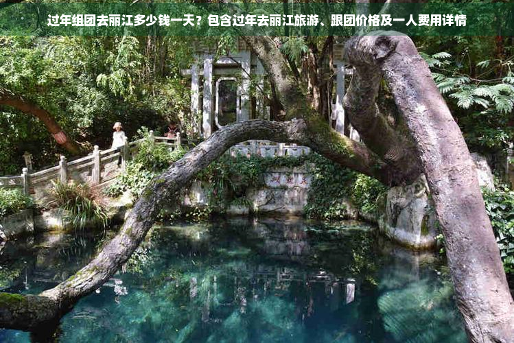 过年组团去丽江多少钱一天？包含过年去丽江旅游、跟团价格及一人费用详情