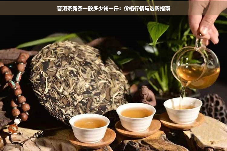 普洱茶新茶一般多少钱一斤：价格行情与选购指南