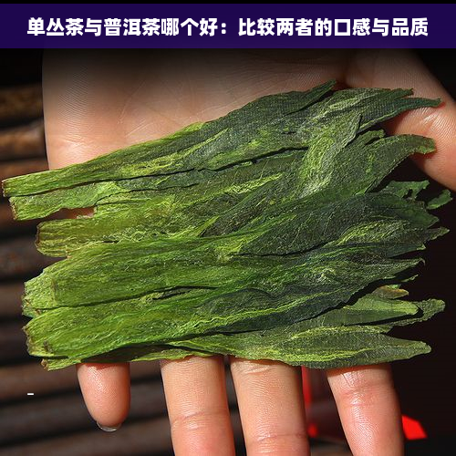 单丛茶与普洱茶哪个好：比较两者的口感与品质