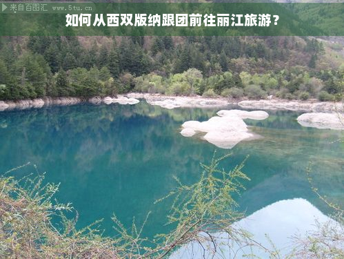 如何从西双版纳跟团前往丽江旅游？