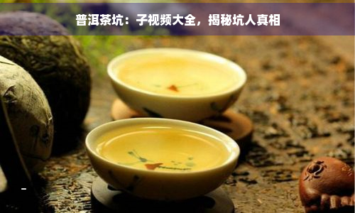 普洱茶坑：子视频大全，揭秘坑人真相