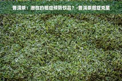 普洱茶：潜在的癌症预防饮品？-普洱茶癌症克星