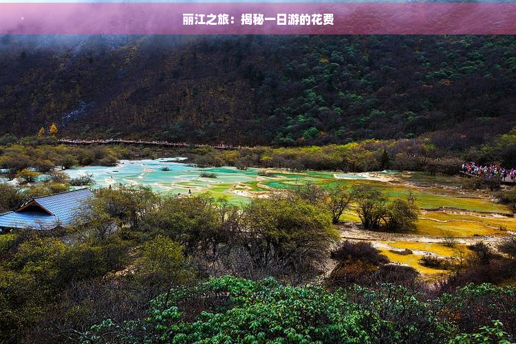 丽江之旅：揭秘一日游的花费