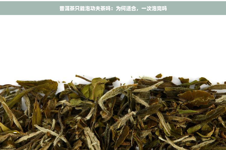 普洱茶只能泡功夫茶吗：为何适合，一次泡完吗